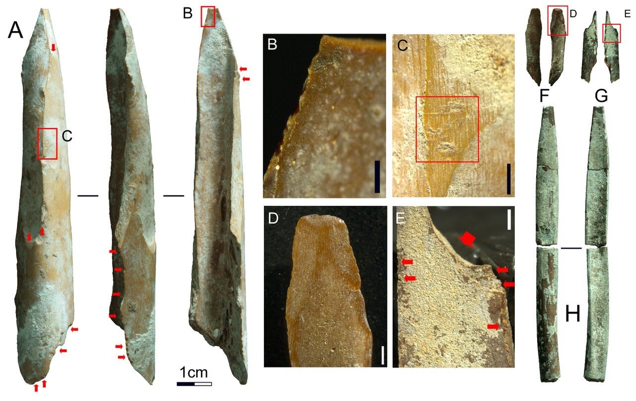 various bone tools