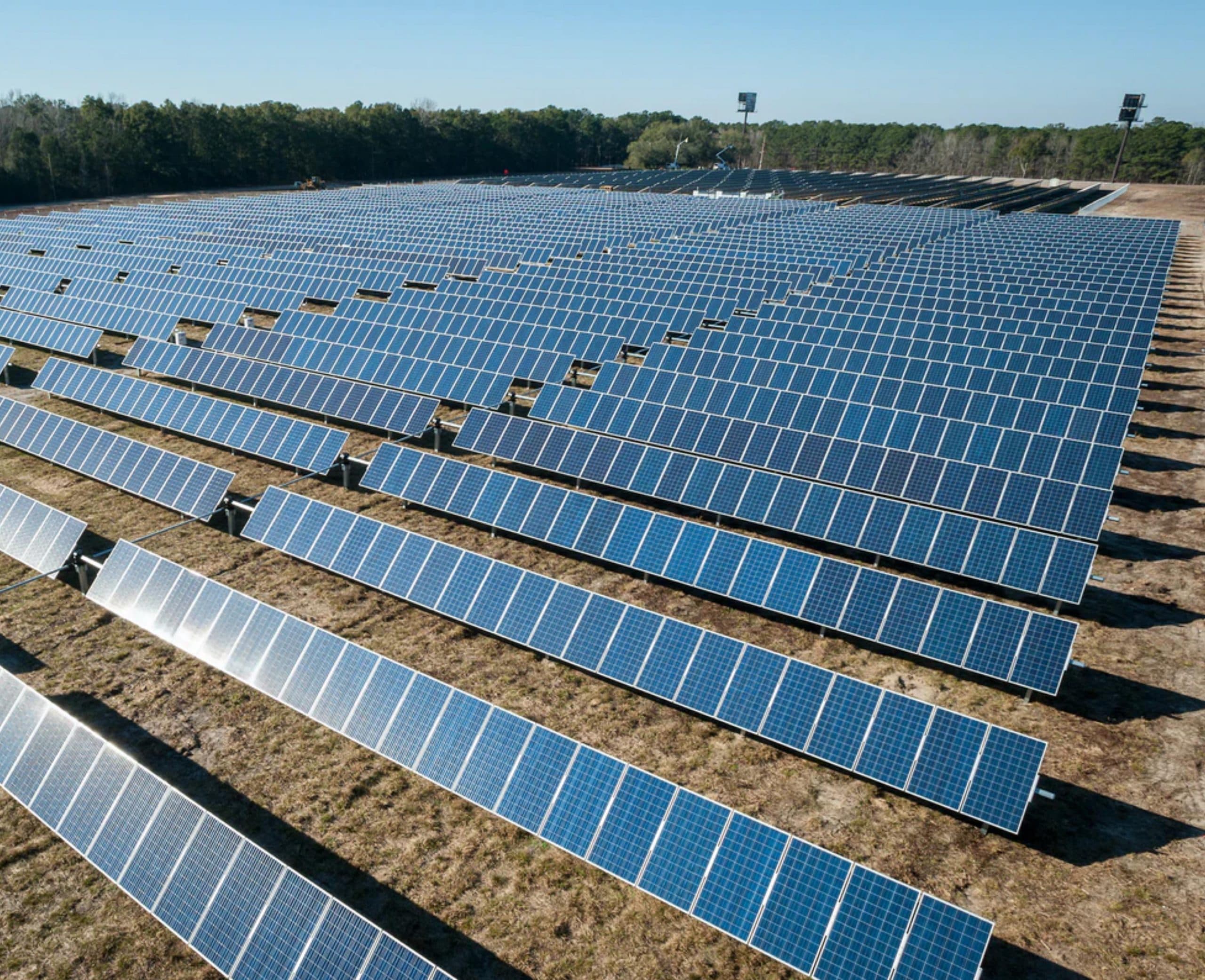 Lines of solar panels in a field.