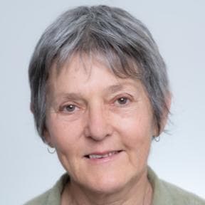 Professor Lyndall Strazdins avatar image