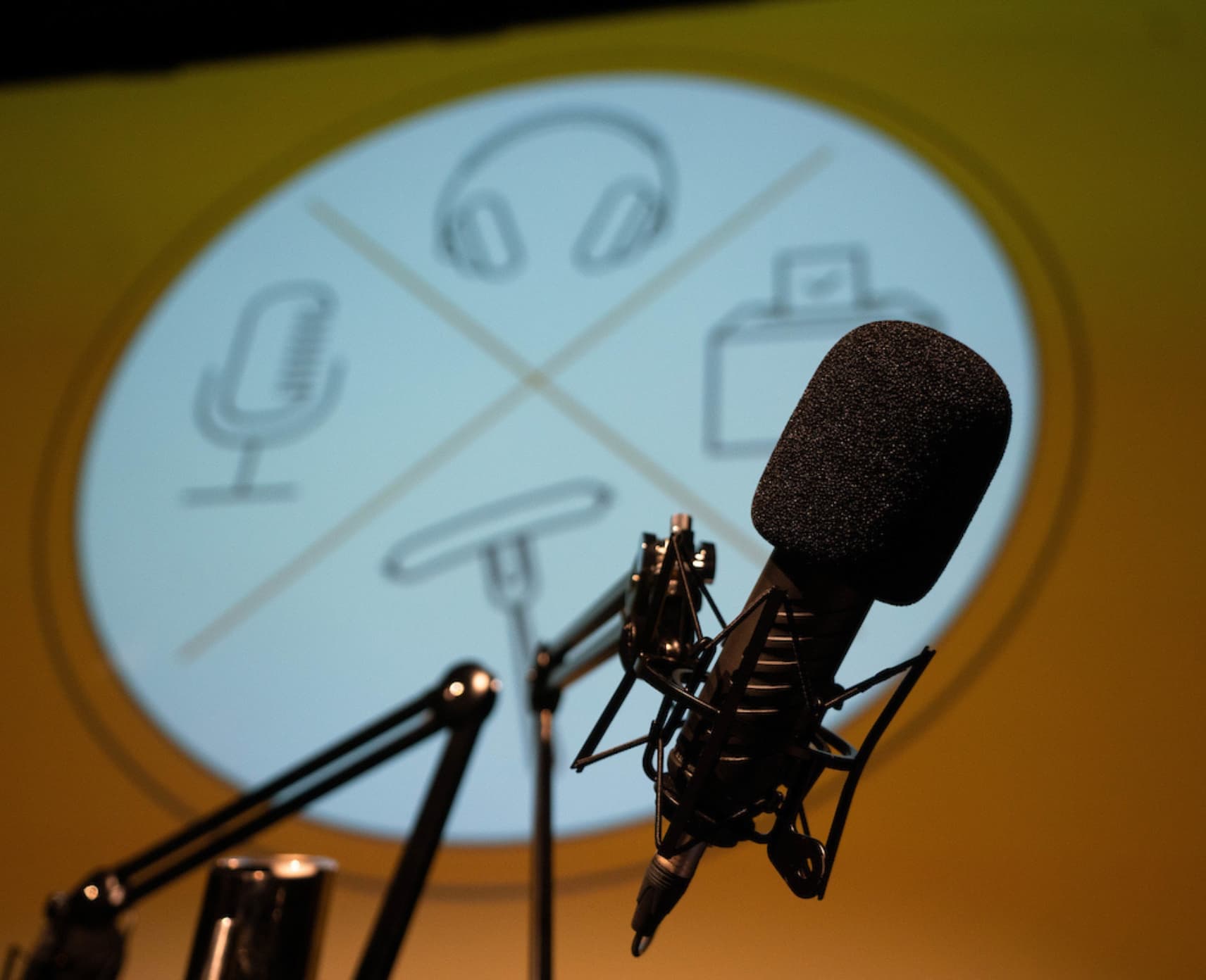 Microphone in front of large Democracy Sausage logo projection