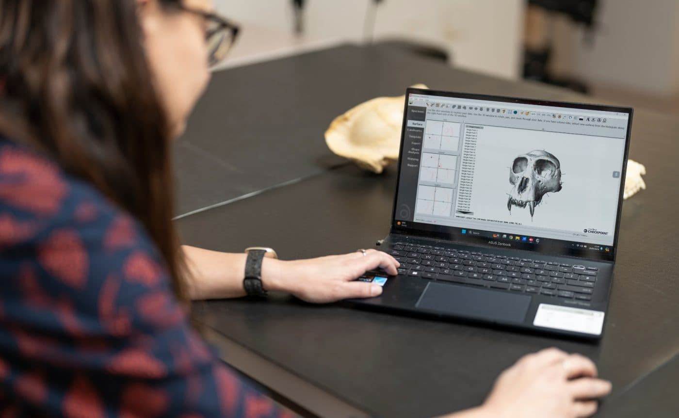 Dr Katharine Balolia is looking at a computer showing a 3D scan of a proboscis monkeys’ skull