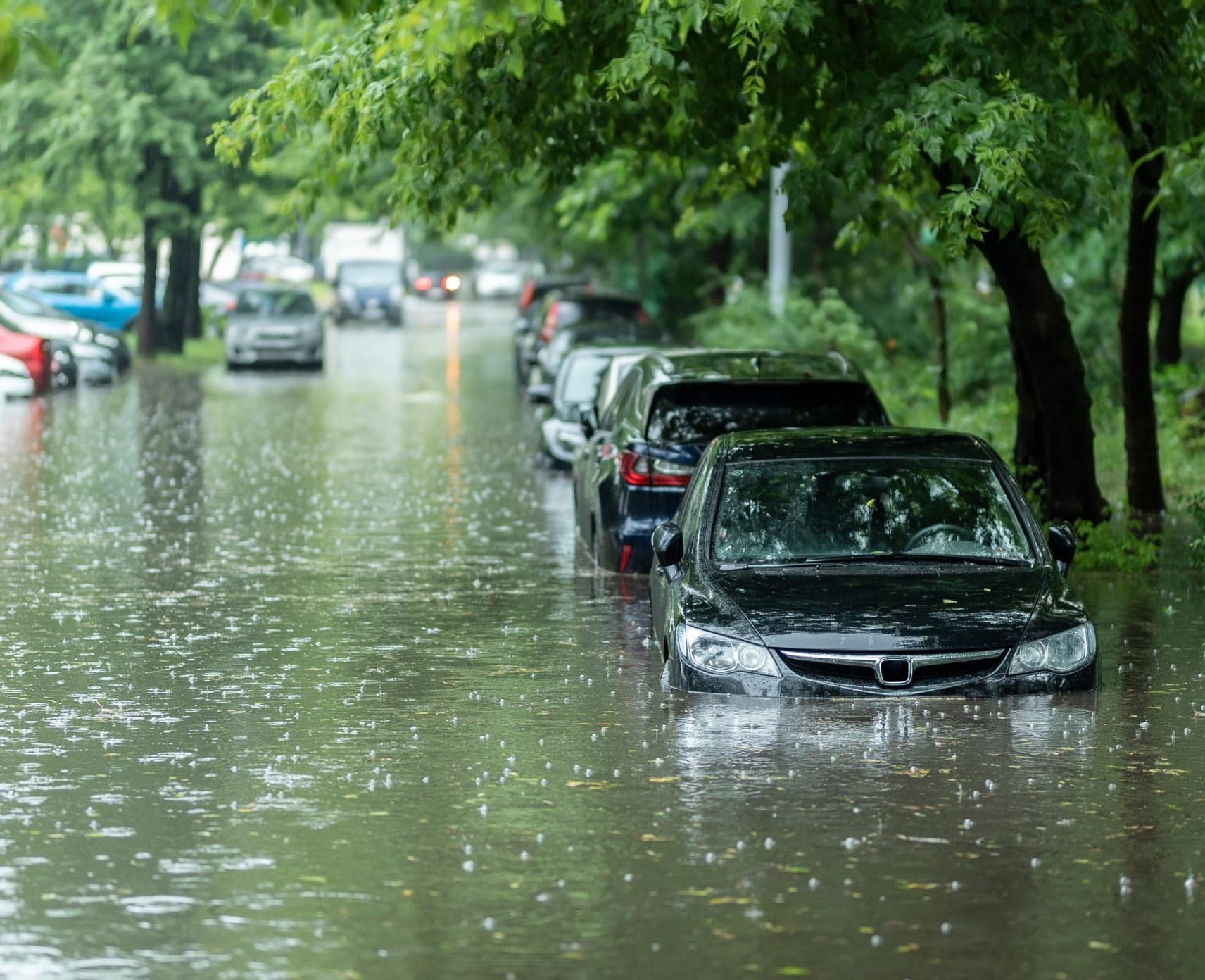 Climate extremes in 2024 ‘wreaking havoc’ on the global water cycle article image