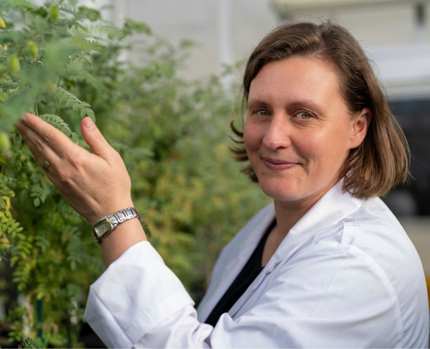 Professor Caitlin Byrt with some plants being used to create sustainable technologies