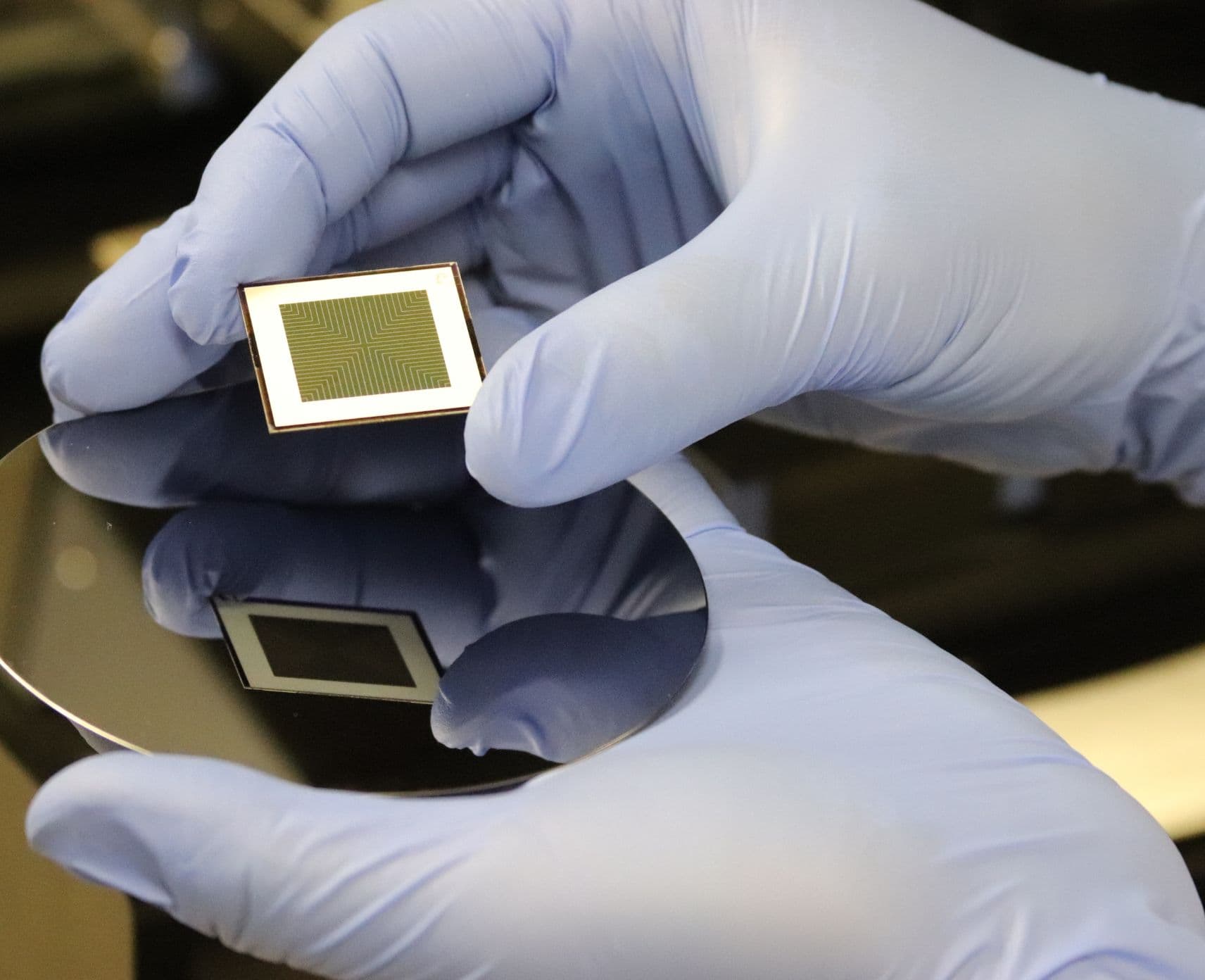 A person wearing blue gloves holding a solar cell.