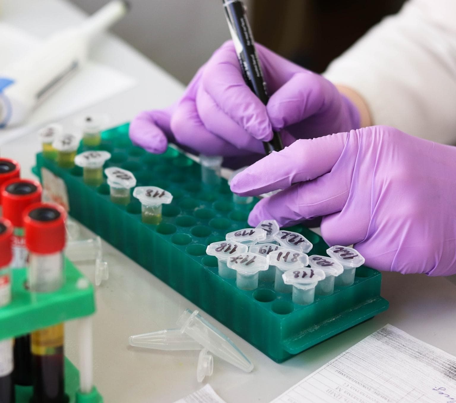 close-up on a person's hands wearing purple gloves. They are holding a black pen and labelling small plastic vials with numbers.
