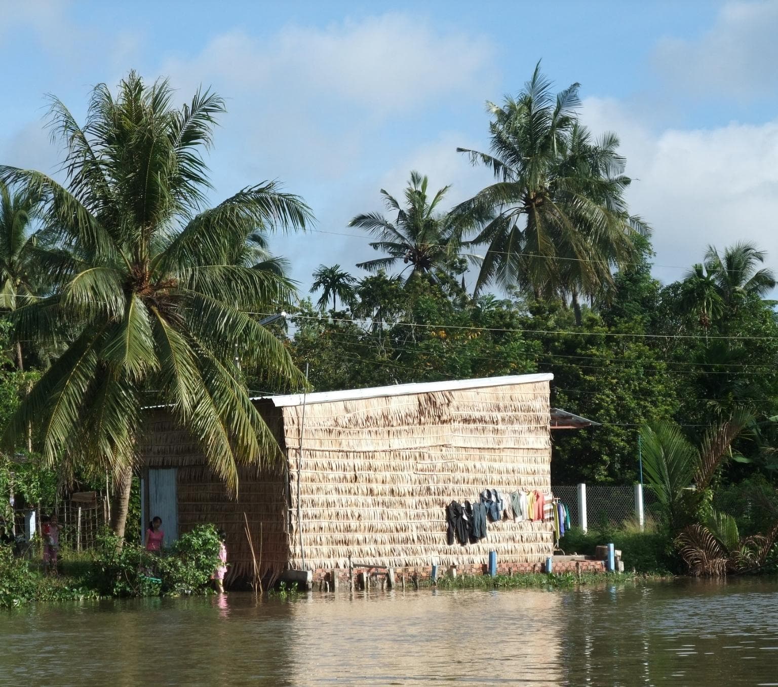 A thatched house at the edge of the river and palm trees surrounding the house.