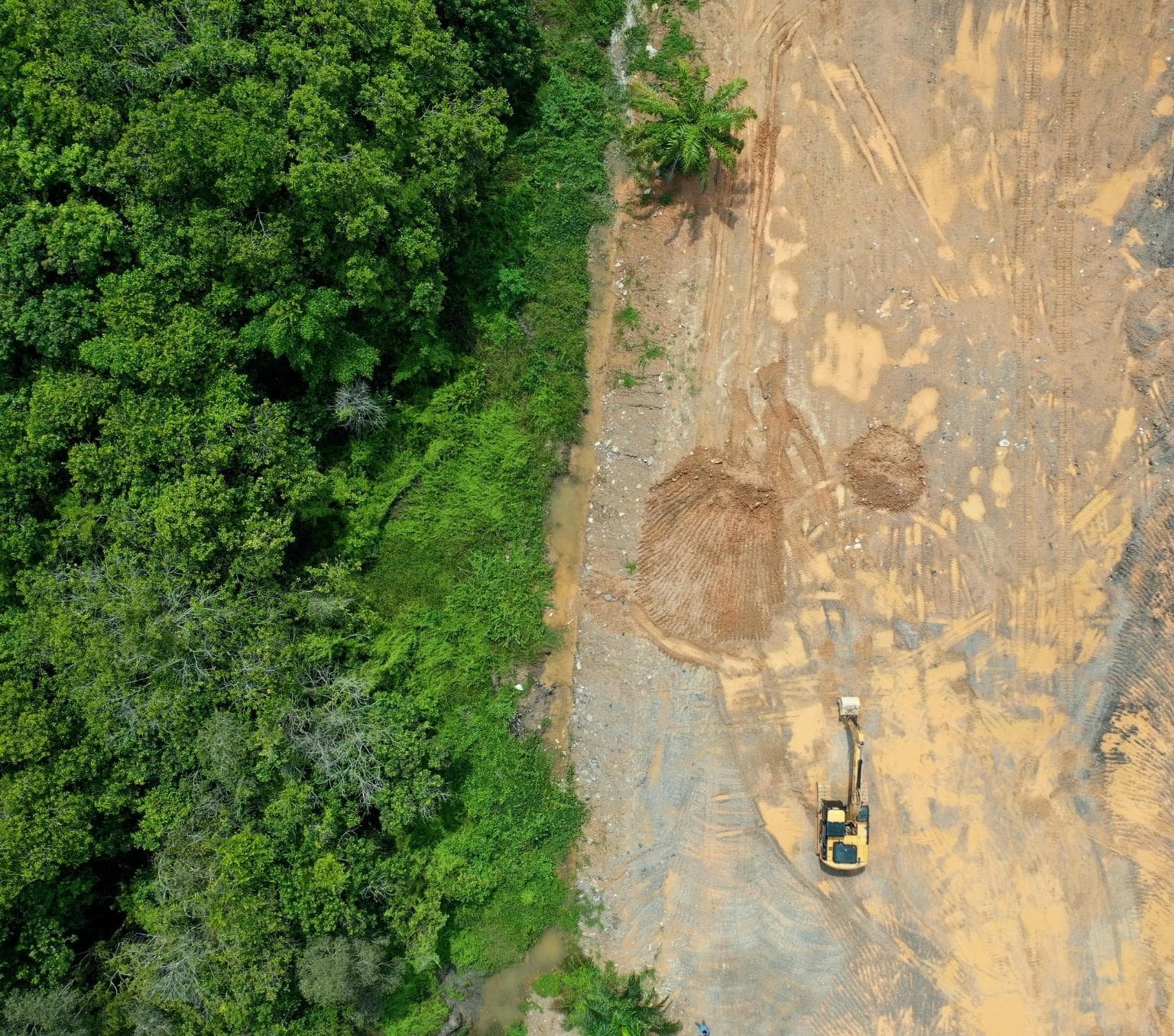 Aerial view of forest and cleared land.