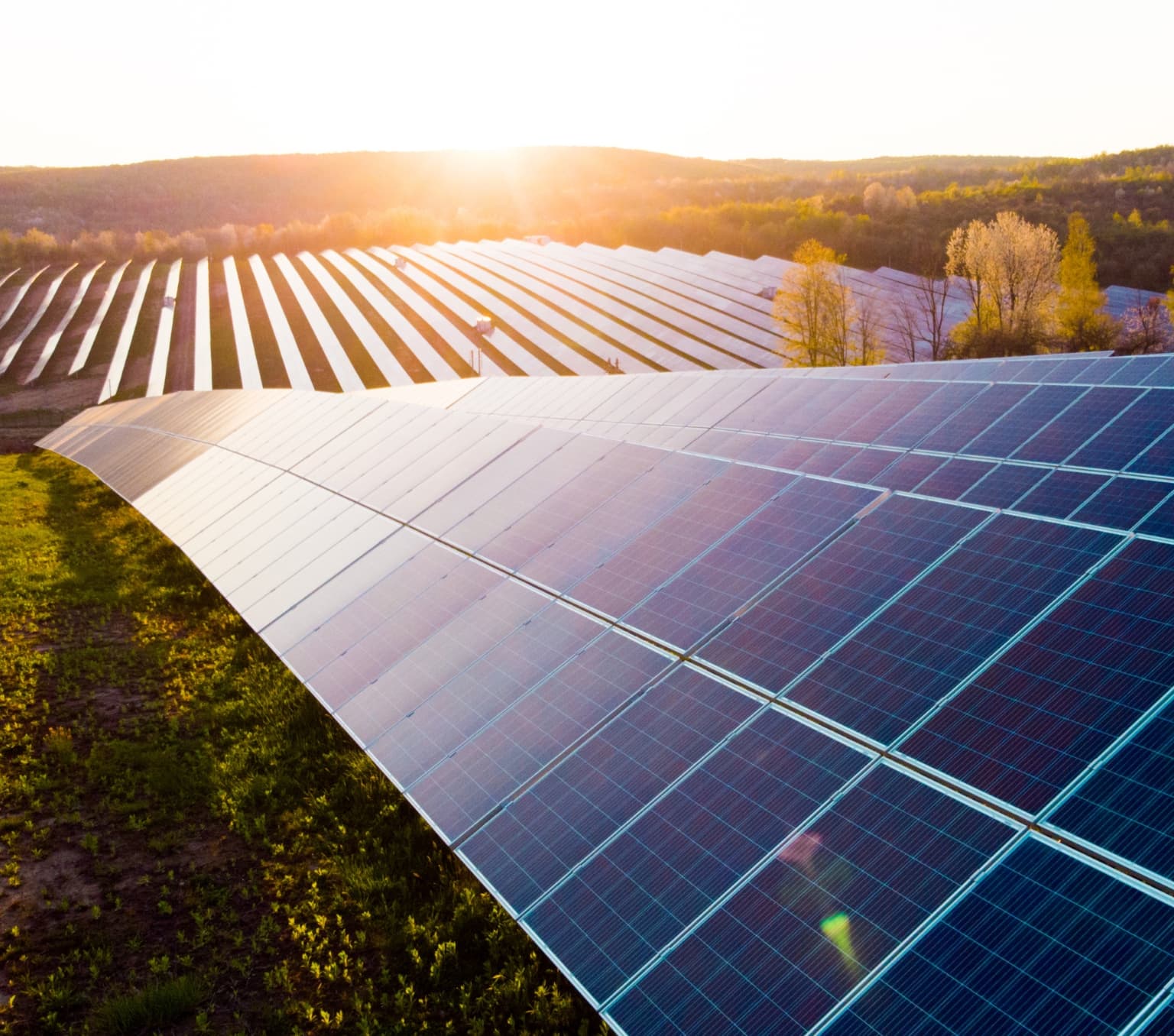 solar farm