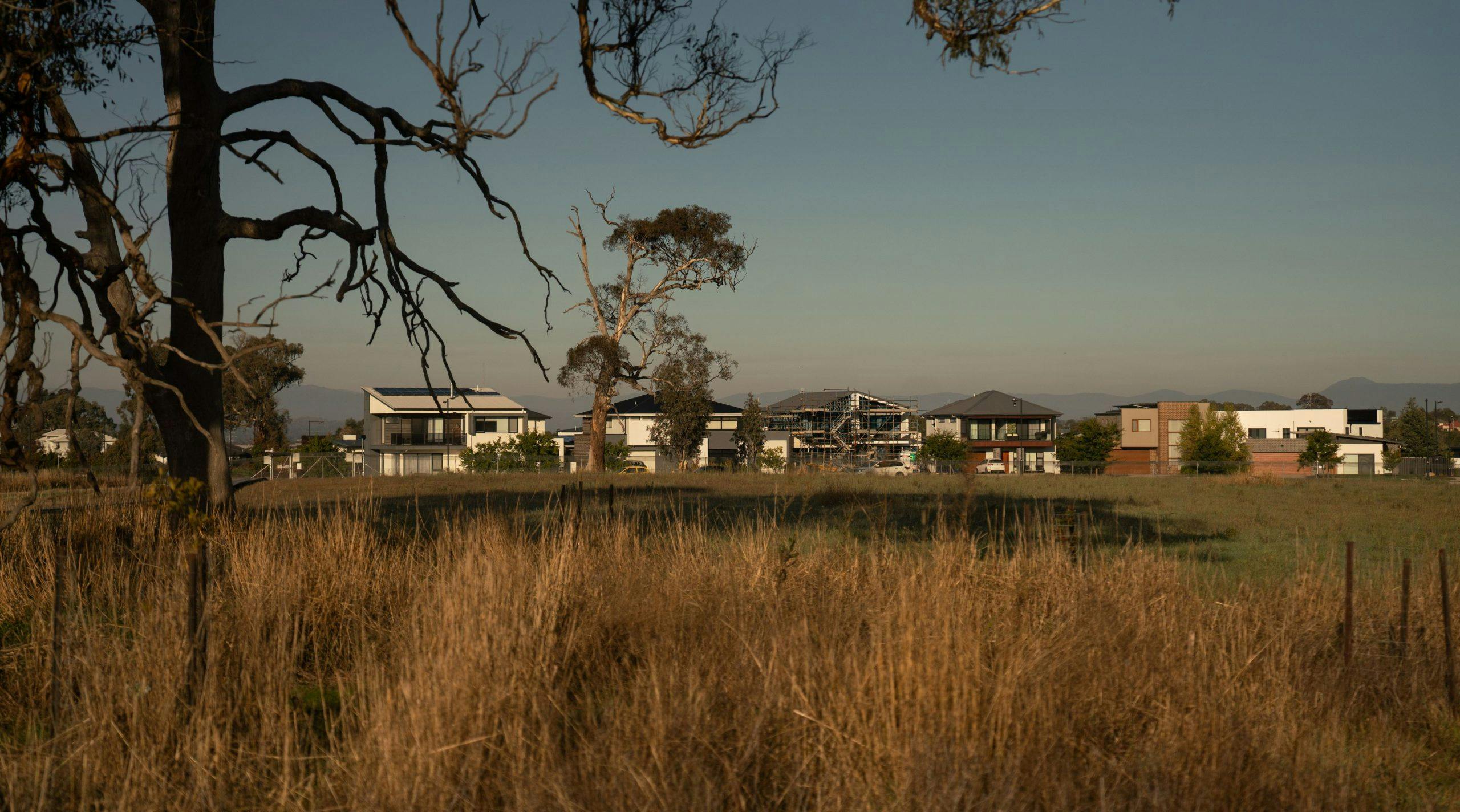 Houses in the suburb of Throsby seen on the other side of a grassy landscape with tall trees